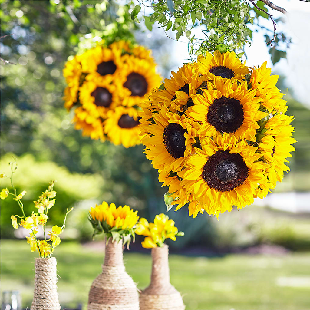 Sublime Garden Hanging Arrangement – UP UP & AWAY FLORAL & EVENT PLANNING, Lumberton NC