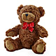 Adorable Plush Bear – UP UP & AWAY FLORAL & EVENT PLANNING, Lumberton NC