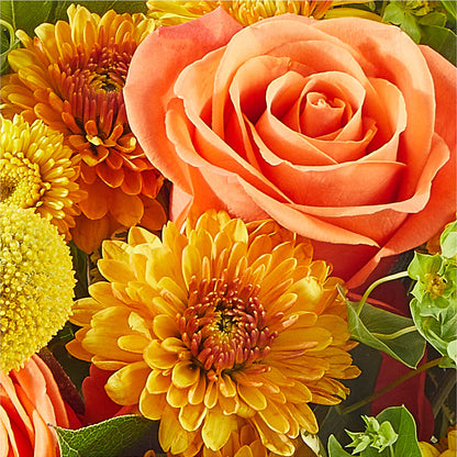 Gourdgeous Pumpkin – UP UP & AWAY FLORAL & EVENT PLANNING, Lumberton NC