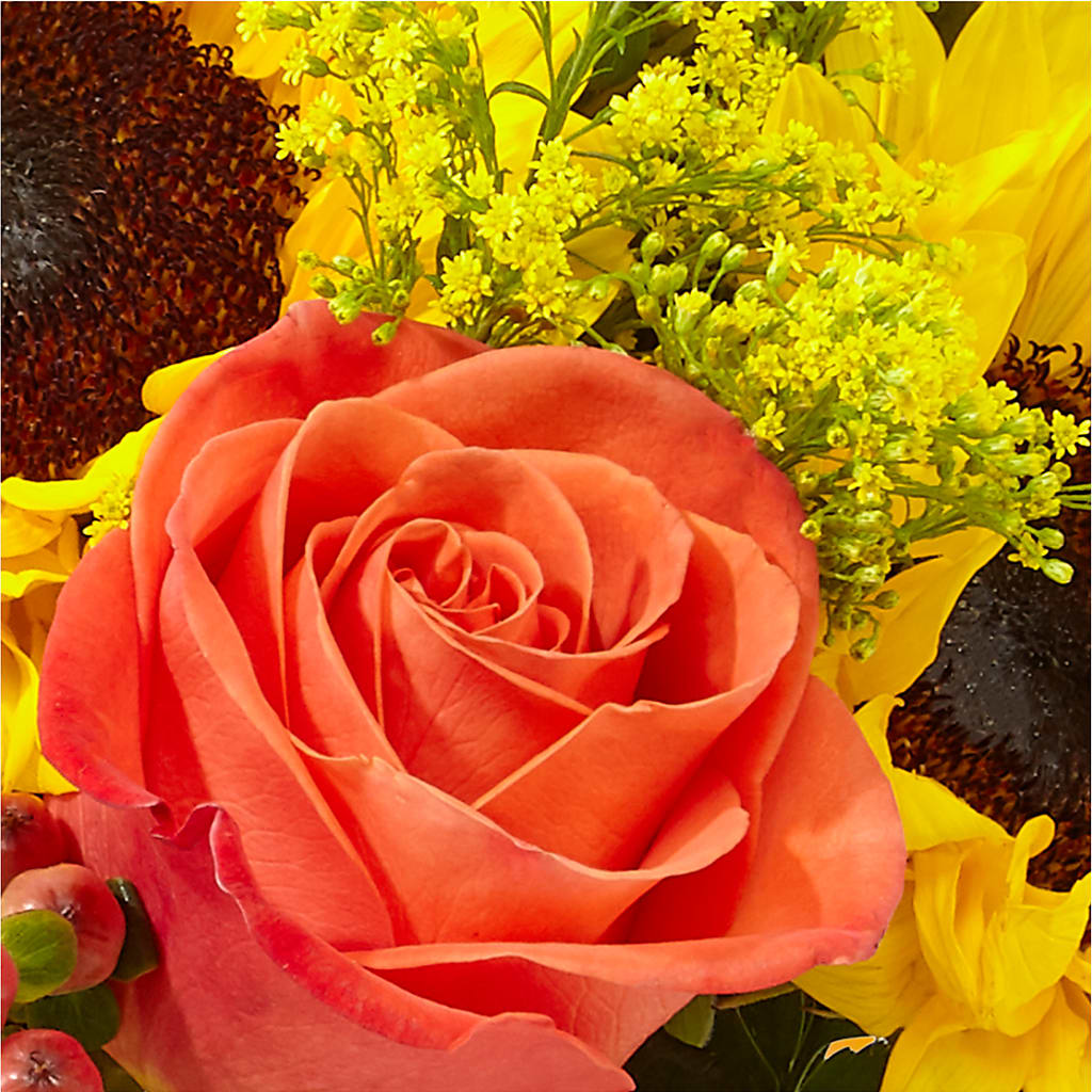 Pick of the Patch Pumpkin Bouquet – UP UP & AWAY FLORAL & EVENT PLANNING, Lumberton NC