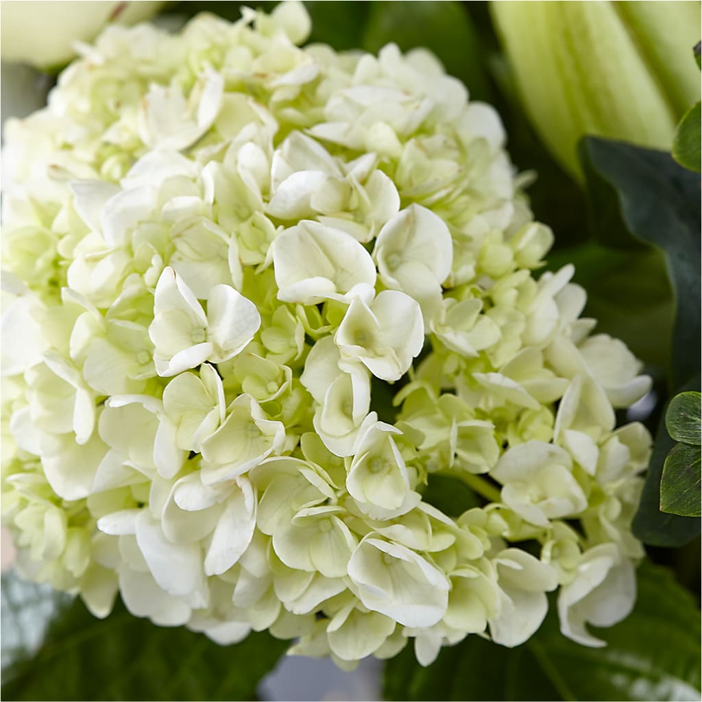 Classic Ivory – A Florist Original – UP UP & AWAY FLORAL & EVENT PLANNING, Lumberton NC
